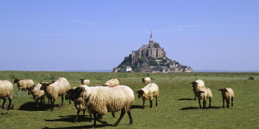 Chambres D'Hotes Avec Piscine Aux Agapanthes De Cromel - Mont Saint Michel Luaran gambar